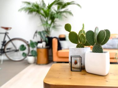 Çok sayıda houseplants ve korunmuş renkli böcek sayesinde bir kentsel orman hissi ile Hafif modern oturma odası