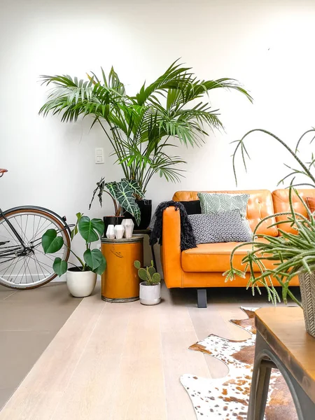 Light modern living room with a brown leather couch and numerous houseplants creating an urban jungle
