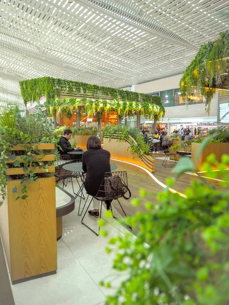 2018 年 5 月 - 韩国：在仁川国际机场 2 号航站楼拥有众多绿色植物的舒适而郁郁葱葱的休息区 — 图库照片