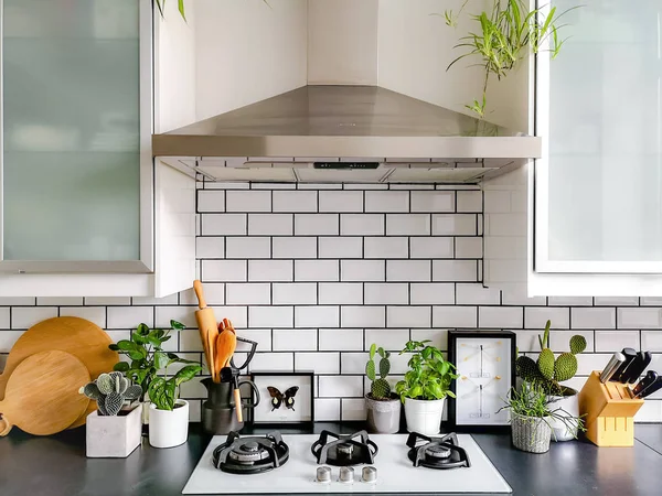 Noir et blanc cuisine carrelée de métro avec de nombreuses plantes et encadré art insecte taxidermie — Photo
