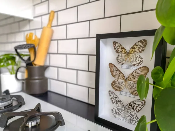 Beaux papillons encadrés en noir et blanc dans une cuisine carrelée de métro noir et blanc — Photo