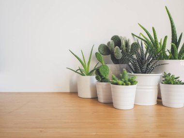 Beyaz bir arka plan üzerinde ahşap bir masa üzerinde beyaz tencere küçük sulu