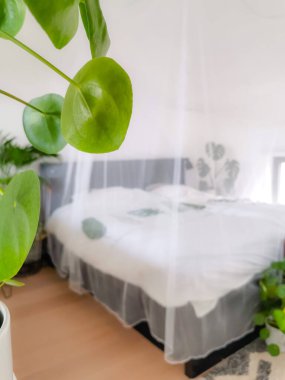 Parlak beyaz yatak odası sayısız saksı yeşili bitkilerle dolu ve doğal ışıkla dolmuş.