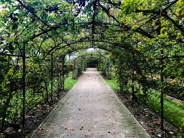 Deserted Black Archway Covered Numerous Plants Autumn — Stock Photo, Image