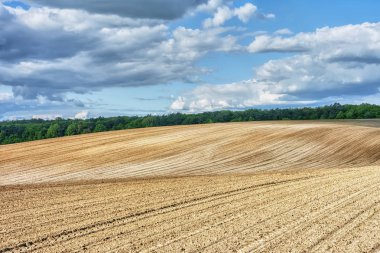 Kırsal alan - üzerinde mavi gökyüzü ve bulutlar olan tarlalar ve ormanlar.
