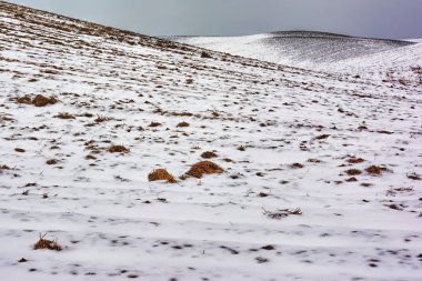 Kış manzarası - tarım günbatımında kar ile kaplı toprakları.