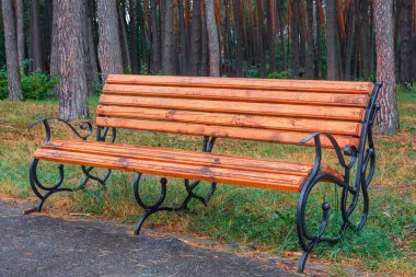 Parktaki boş bank.