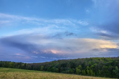 Gökyüzü bulutlu gün batımında ormanı eteklerinde çayırlar üzerinde.
