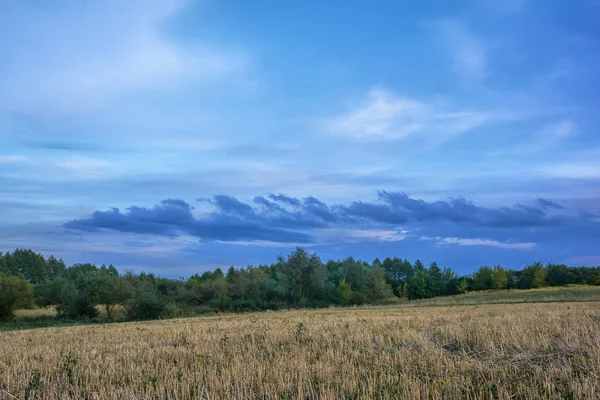 Niebo Chmur Nad Łąki Obrzeżach Lasu Zmierzchu — Zdjęcie stockowe