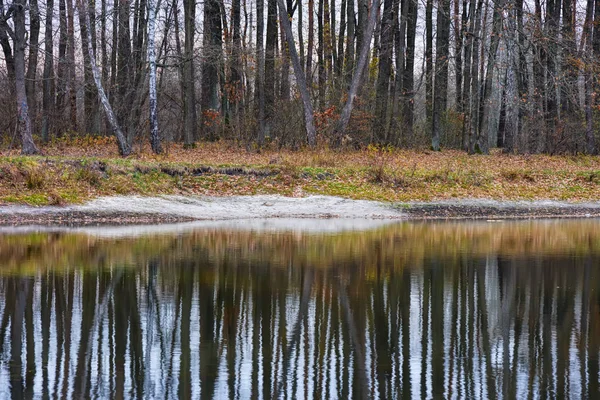 Forêt Automne Sur Lac Reflète Dans Eau — Photo