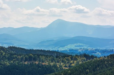 Bir dağ, bir çam ormanı ve bulutlu bir gökyüzü.