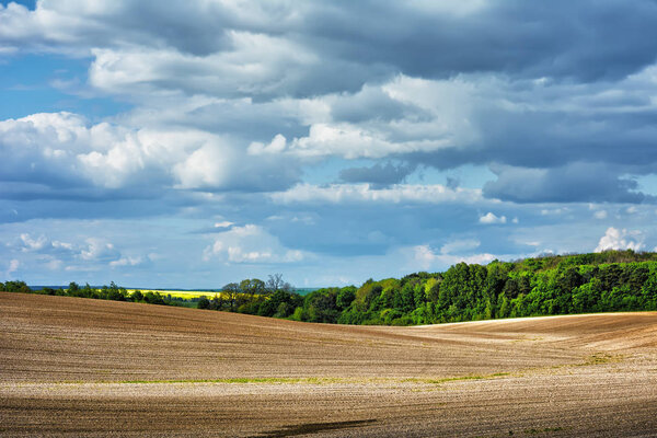 Rural landscape - plowed field and forest with blue sky and clouds over them.