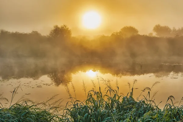 Nascer Sol Nevoeiro Matinal Sobre Rio Costa Com Árvores — Fotografia de Stock