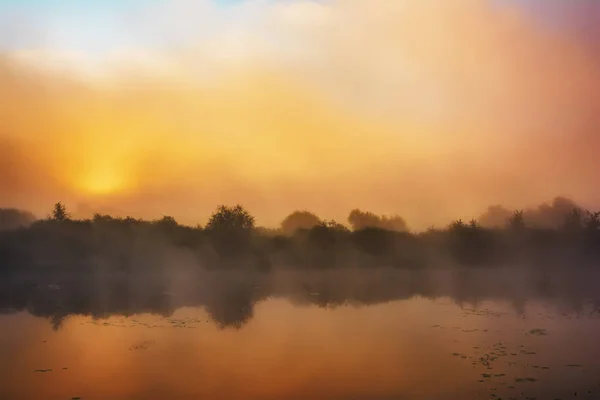 日の出 川や木が海岸の上の朝の霧 — ストック写真