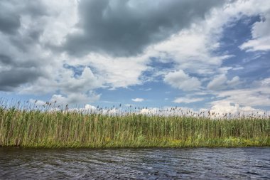 Üstündeki bulutlar ile nehir banka, mavi gökyüzü güneşli gün.