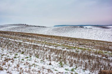 Kış manzarası - tarım kar ile kaplı toprakları.