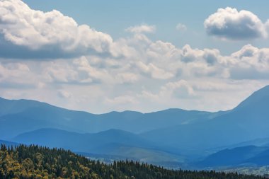 Bir dağ, bir çam ormanı ve bulutlu bir gökyüzü.