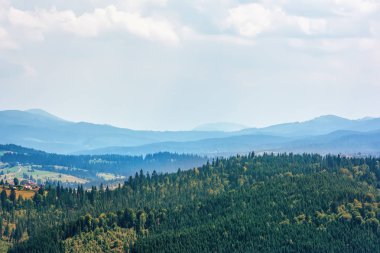 Bir dağ, çam ormanları ve gökyüzü bulutlu.