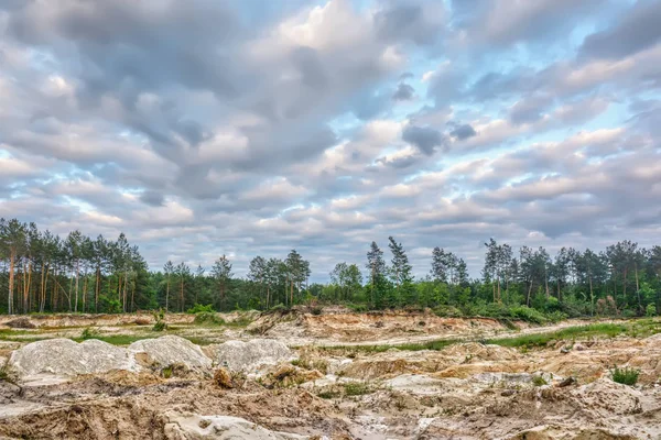 Písek Lomu Okraji Lesa Eroze Půdy — Stock fotografie