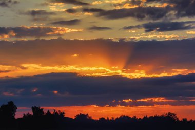 Gökyüzü günbatımı ağaçlar ve çalılar siluetleri üzerinde bulutlar ile.