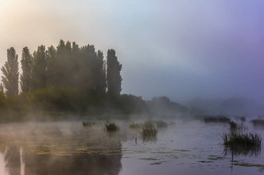 Sabah sis Nehri ve ağaçları ile sahil üzerinde.