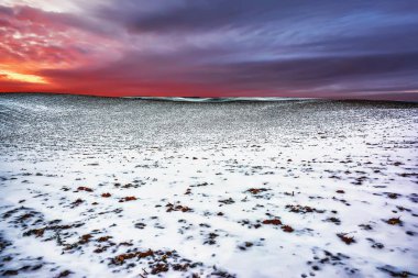 Kış manzarası - tarım günbatımında kar ile kaplı toprakları.