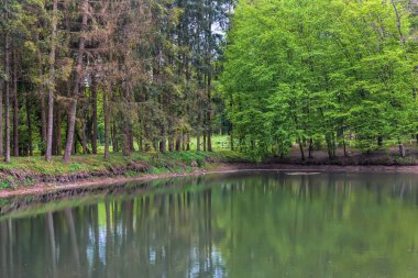 Suya yansıyan göl kıyısı.