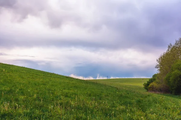 Stormclouds Ormanı Eteklerinde Çayırlar Üzerinde Gökyüzü — Stok fotoğraf