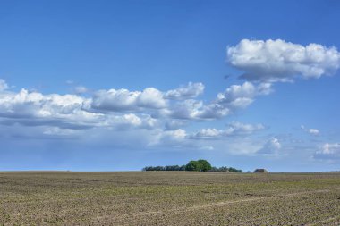 Mavi gökyüzü bulutlu sürülmüş bir alanın üzerinde.