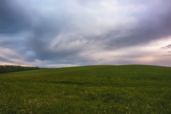 Wiejski Krajobraz Łąki Las Stormclouds Nad Nimi — Zdjęcie stockowe