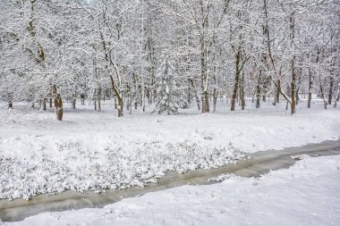 Buz, ağaçlar karla kaplı kıyısında kış manzara - parkta küçük bir nehir kaplı.