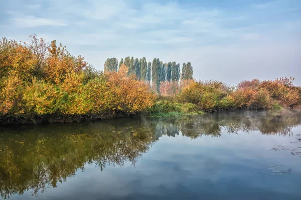 Paisaje Otoñal Niebla Sobre Río Árboles Con Hojas Amarillentas Las — Foto de Stock