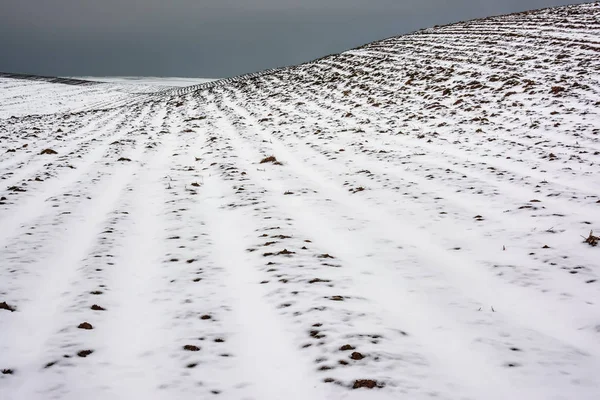 Paisagem Inverno Terras Agrícolas Cobertas Neve — Fotografia de Stock