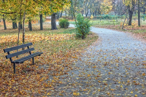 Autumn Park Walking Path Benches Litter Yellowed Leaves — Stock Photo, Image