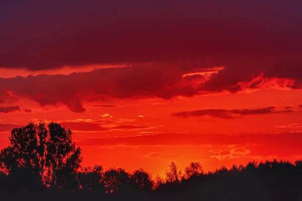Ciel Avec Nuages Coucher Soleil Sur Des Silhouettes Arbres Buissons — Photo