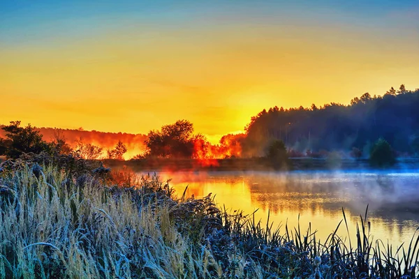 Осенний Пейзаж Восход Солнца Над Берегом Озера Покрытая Морозом Трава — стоковое фото