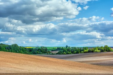 Güneşli gün sürülmüş alanlar, orman ve çayır üzerinde. Mavi gökyüzü bulutlu.