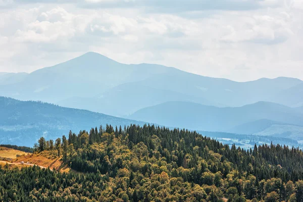 Mountains Pine Forest Sky Clouds — Stock Photo, Image