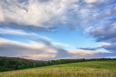 Gökyüzü bulutlu gün batımında ormanı eteklerinde çayırlar üzerinde.