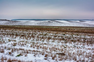 Kış manzarası - tarım günbatımında kar ile kaplı toprakları.
