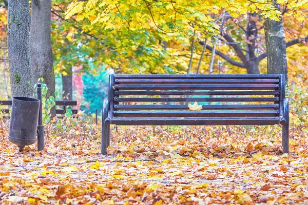 Bench Waste Basket Autumn Park Yellowed Leaves Trees Fallen Grass — Stock Photo, Image