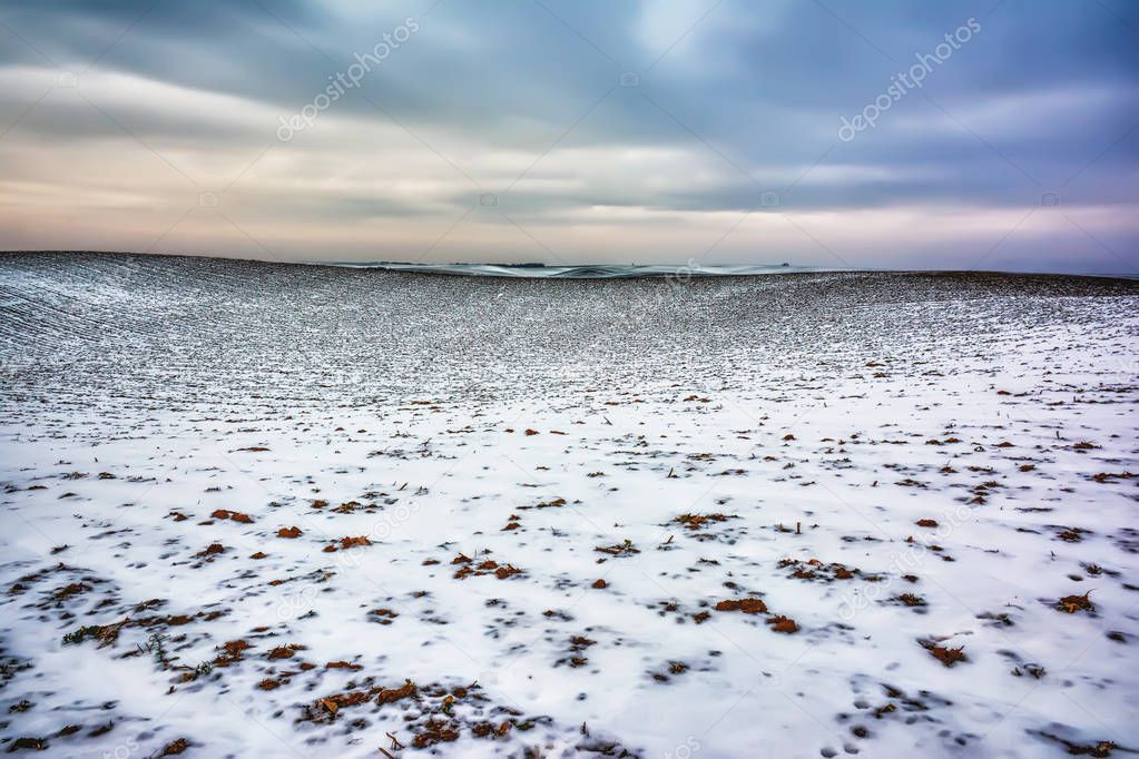 Winter landscape - agricultural lands covered with snow at sunset.