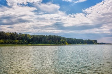 Orman gölünün kıyısı suya yansıyor, gökyüzü bulutlarla kaplı..