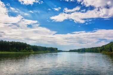 Gölde güneşli bir gün ve ormanın kıyısında. Mavi gökyüzü üzerlerinde bulutlarla.