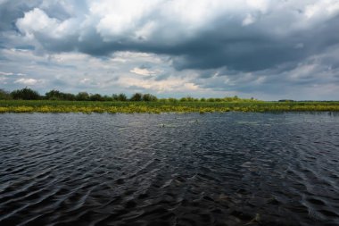Sazlıklarla nehir kıyısında fırtına bulutları.