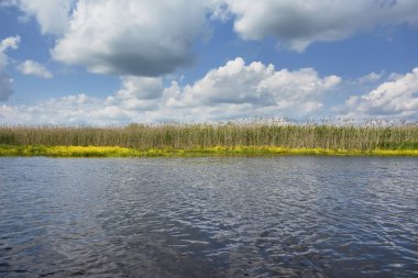 Üstündeki bulutlar ile nehir banka, mavi gökyüzü güneşli gün.