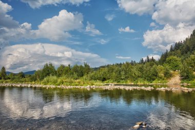 Dağ nehir kıyısında ve mavi gökyüzü bulutlu ağaçta ile.