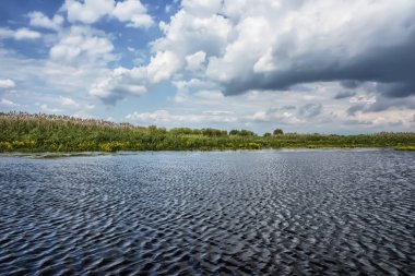 Sazlıklar ve ağaçlarla nehir kıyısında fırtına bulutları.