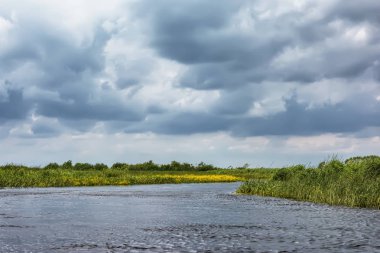 Sazlıklar ve ağaçlarla nehir kıyısında fırtına bulutları.