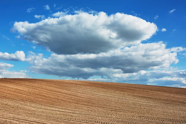 Ländliche Landschaft Gepflügtes Feld Und Wald Mit Blauem Himmel Und — Stockfoto